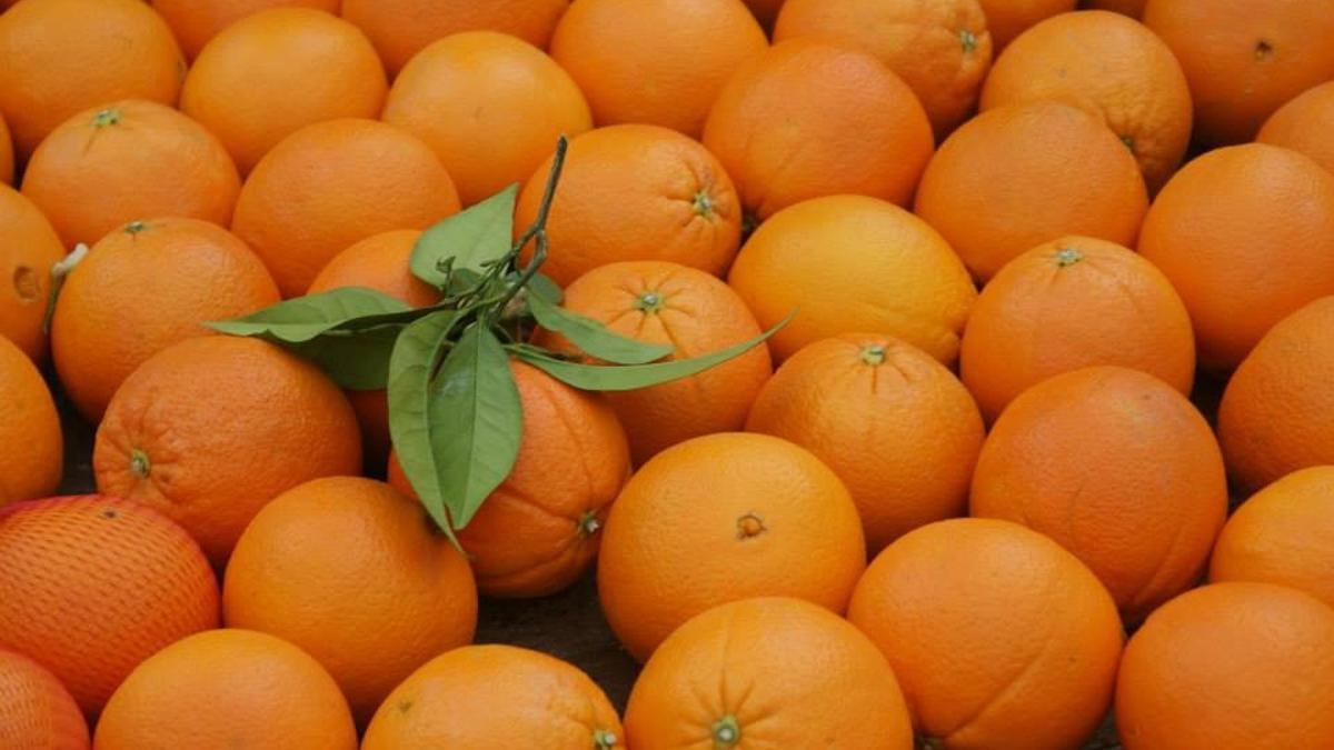 Naranjas, pimientos, tomates: Las frutas y verduras que podrían escasear debido a inundaciones en España